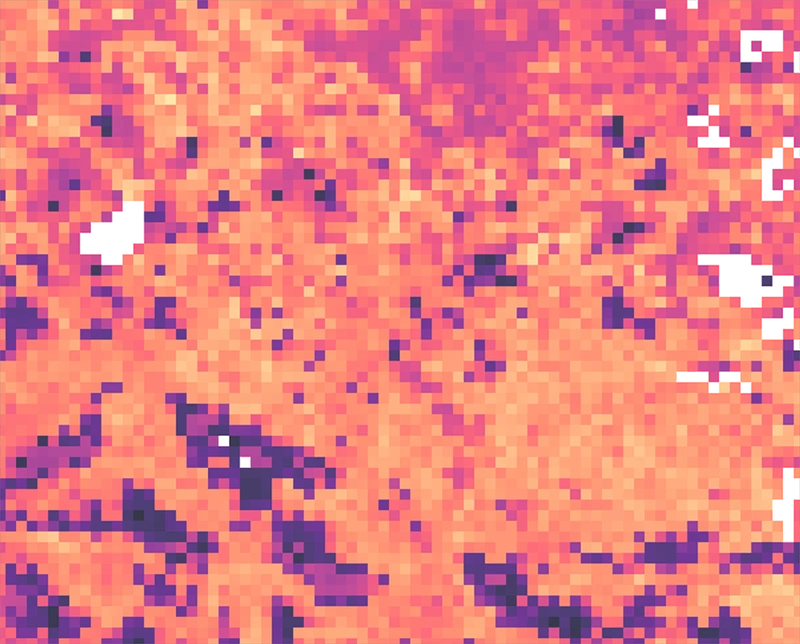 2025 08 26