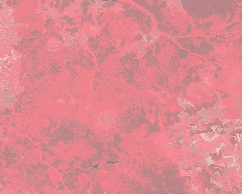 NIR-Red-Green False color - 2018
