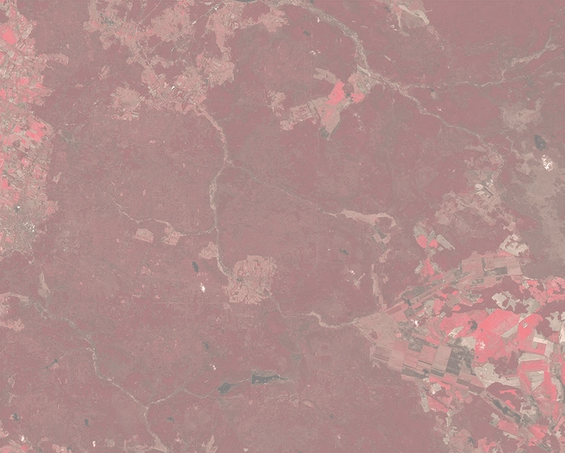 NIR-Red-Green False color – 2025